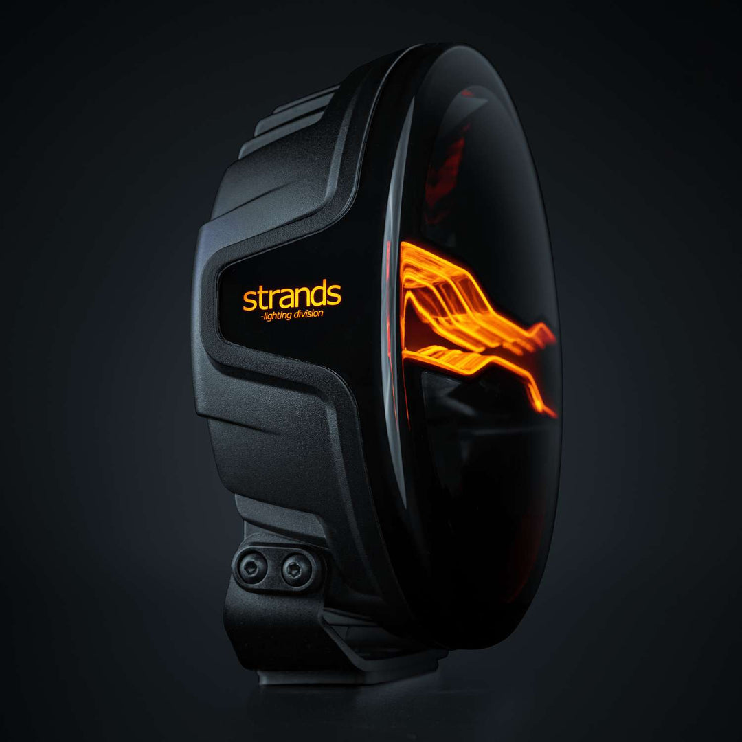 FOR9T DRAGON DRIVE XP (7″)