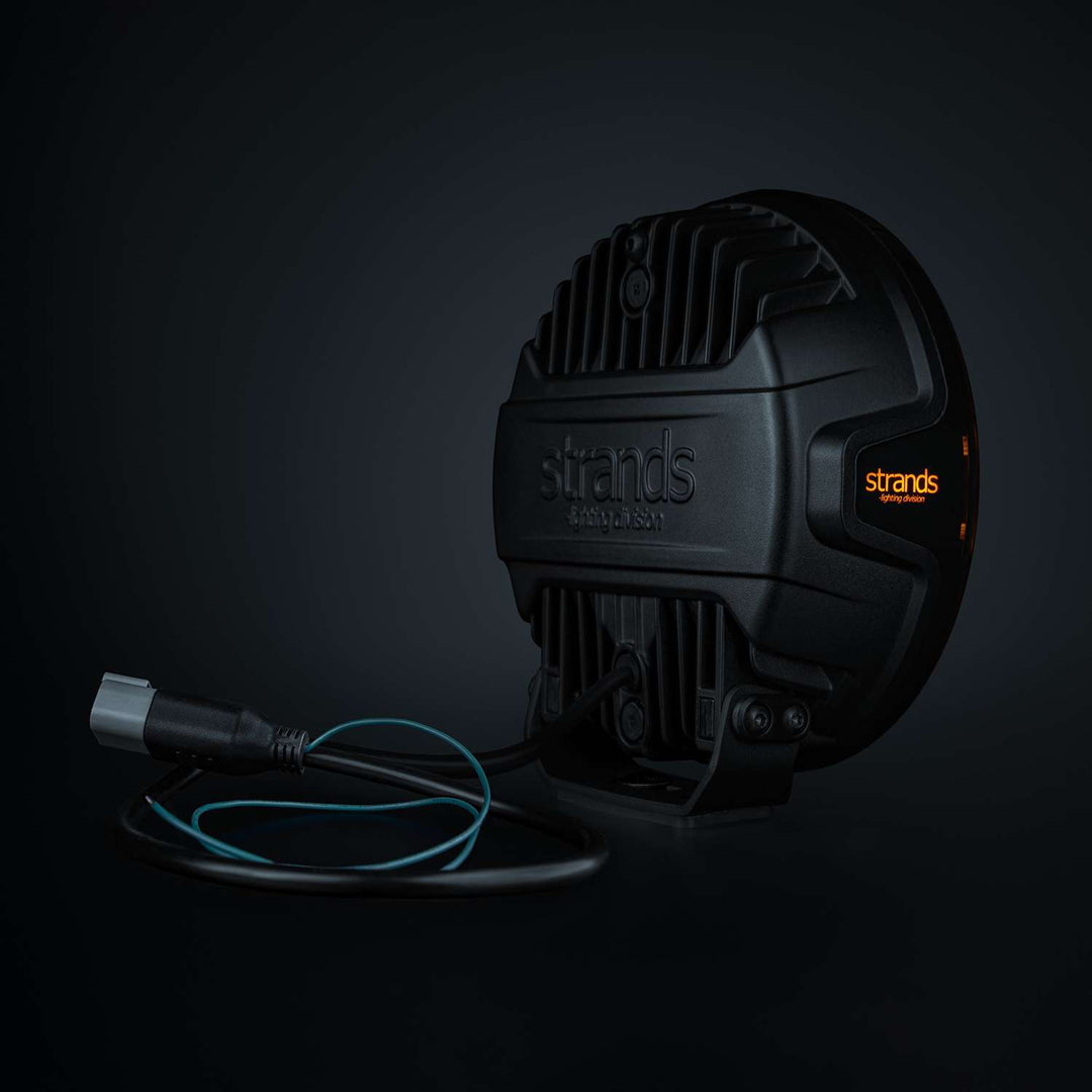 FOR9T DRAGON DRIVE XP (7″)