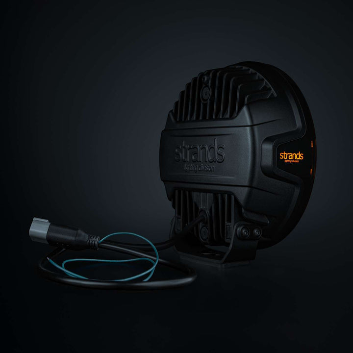 FOR9T DRAGON DRIVE XP (7″)