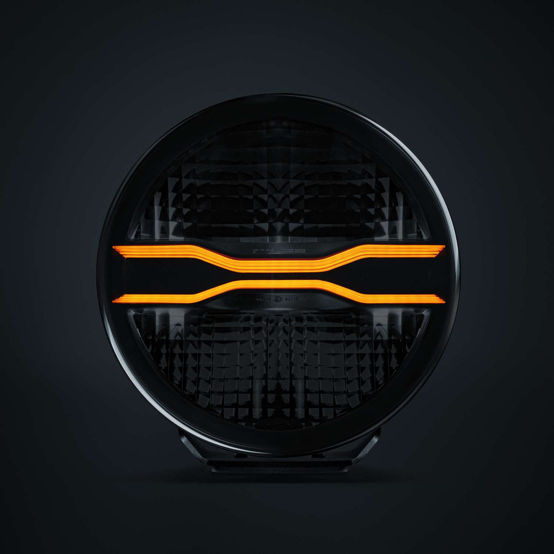 FOR9T DRAGON DRIVE XP (7″)